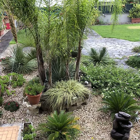 Il Giardino Di Adriana B&B-2